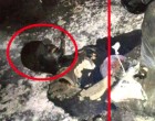 Анализ того, как убивали одесситов 2-го мая в Доме профсоюзов (видео) +18