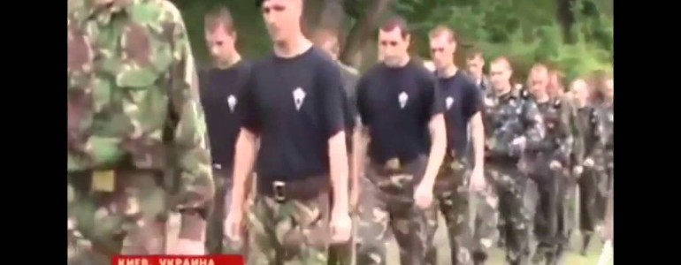 Что такое «Правый сектор» (видео)