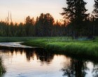 ЗАЩИТИТЬ ЭКОЛОГИЮ РОССИИ!