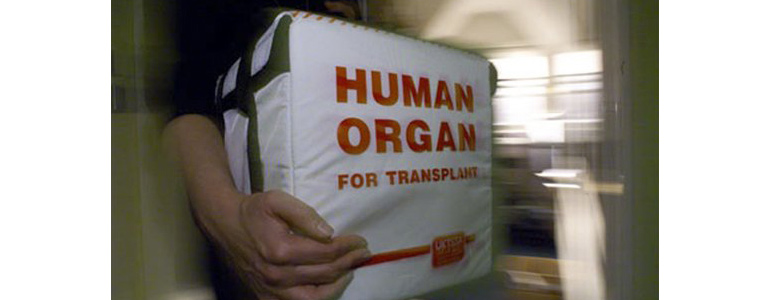 Пустят ли расследование преступлений «чёрных трансплантологов» по ложному следу?