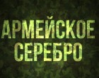 Вооружённые силы России. Армейское серебро