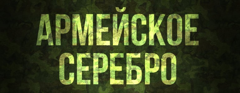 Вооружённые силы России. Армейское серебро
