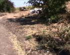 Батальоны Донбасс, Азов, Шахтерск и Правый сектор под Иловайском разбиты