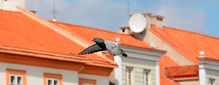 Вильнюс. Автор фото: Владимир Жамойтис, ИА