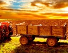Начали в России заботиться о малом бизнесе, значит, ему конец