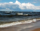 Россия потребовала от Эстонии прекратить захоронение погибших от АЧС в зоне Чудского озера