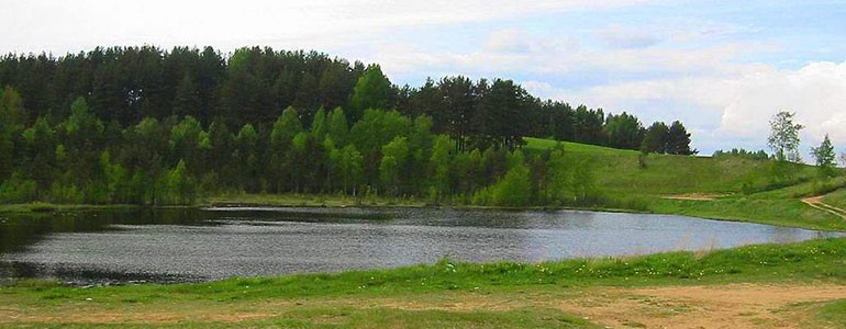Колтушская возвышенность (Колтушские высоты). Фото с wikipedia.org, автор Valeriy10f