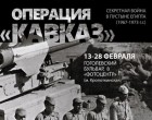 Операция «Кавказ». Секретная война в пустыне Египта