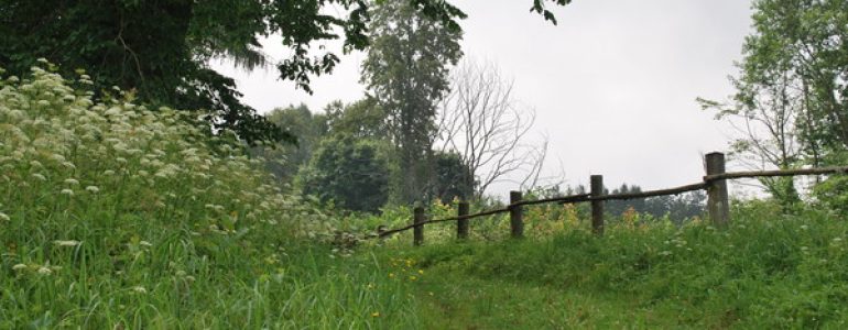 DSC_0540