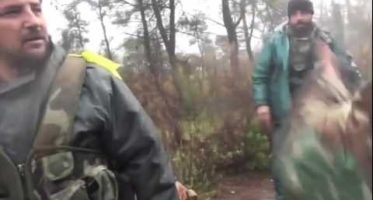 Освобождение Ар Рабии — «Соколы пустыни» Освобождение Ар Рабии — «Соколы пустыни»