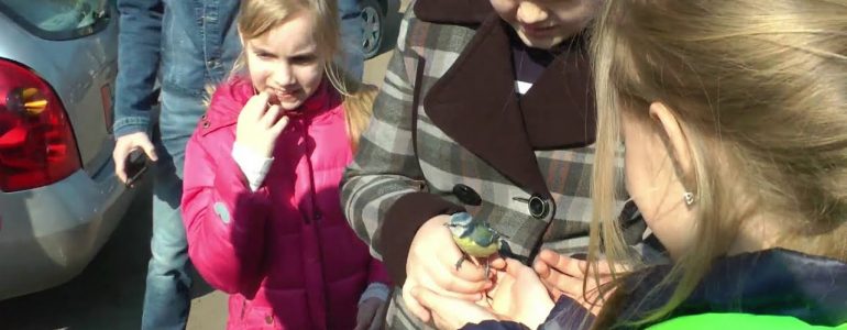 Маленькое чудо на Благовещение Пресвятой Богородицы
