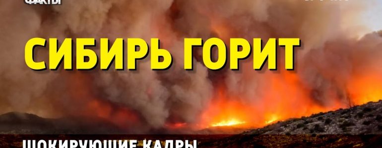 Россия горит. Лесные пожары в России распространились на площадь около 3 млн ГА