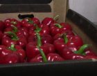 На продовольственной базе в Ростовской области выявлены нарушения правил маркировки