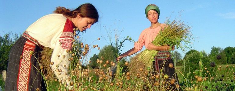 Льноводство в России