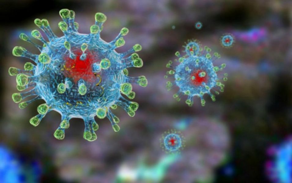 Принципиально новый путь борьбы с коронавирусом