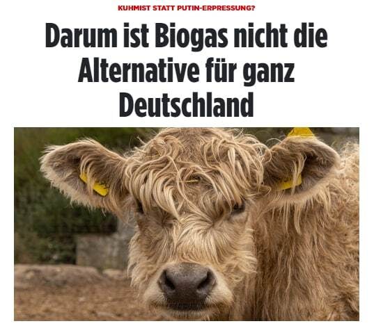 Немецкие власти о планах перейти на биогаз