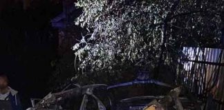 В Подмосковье взорвали машину дочери общественного деятеля и философа Александра Дугина
