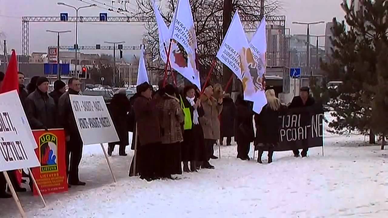 В Вильнюсе прошёл пикет в защиту борцов с коррупцией