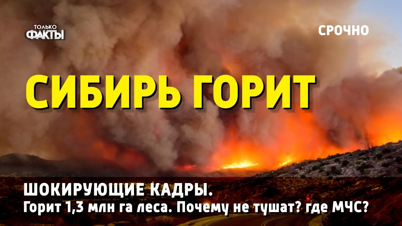 Россия горит. Лесные пожары в России распространились на площадь около 3 млн ГА